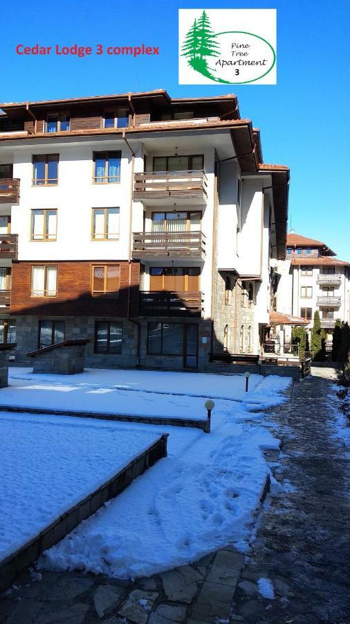 Pine Tree Apartment 3 - B3 Bansko Exterior photo