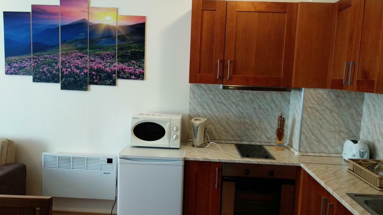 Pine Tree Apartment 3 - B3 Bansko Exterior photo